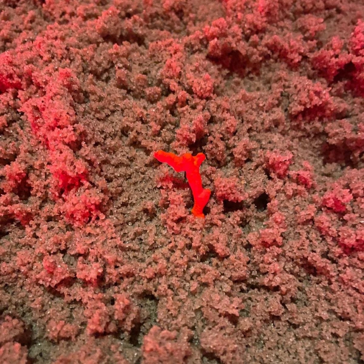 Space Meal: An Earthly Dinner of Interplanetary Provocations