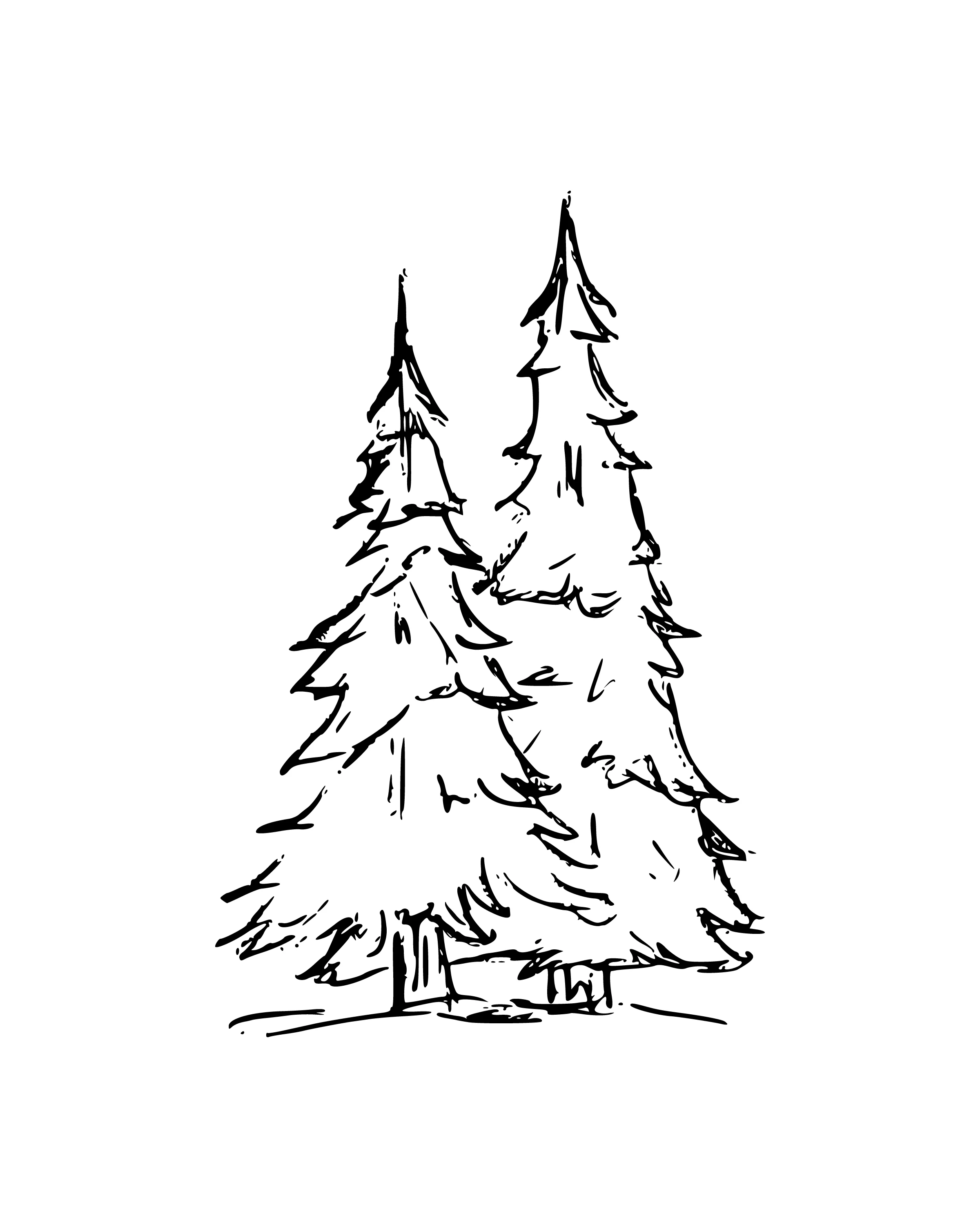 TreesDark-8x10.jpg