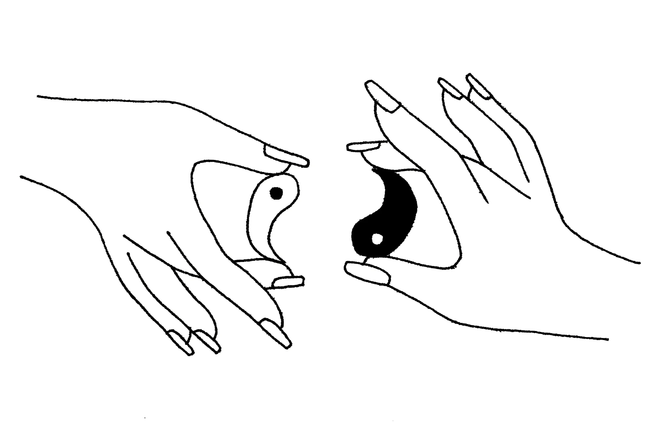 cancer new moon.jpg
