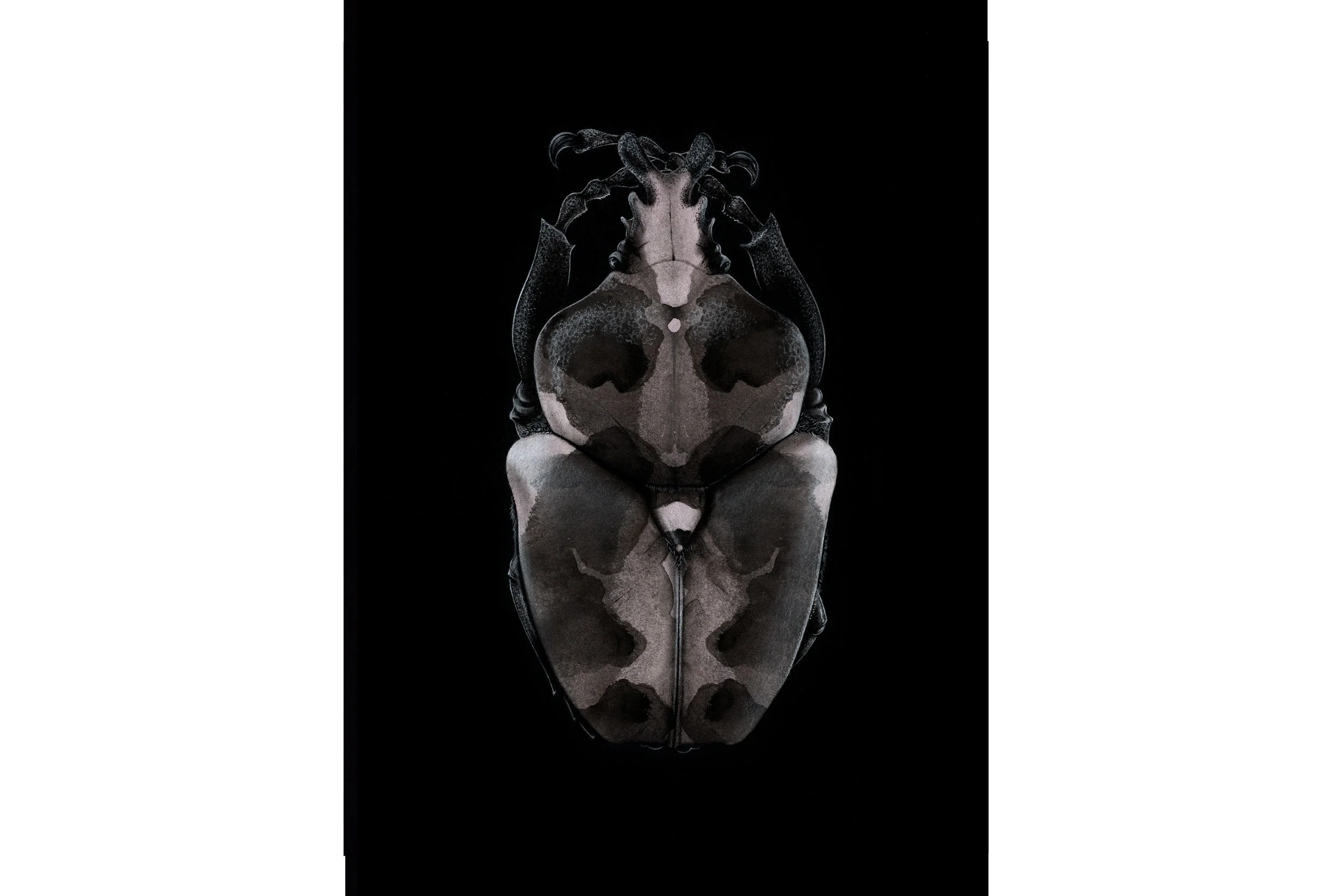 InkBlot-card-1-edited-RAW.jpg