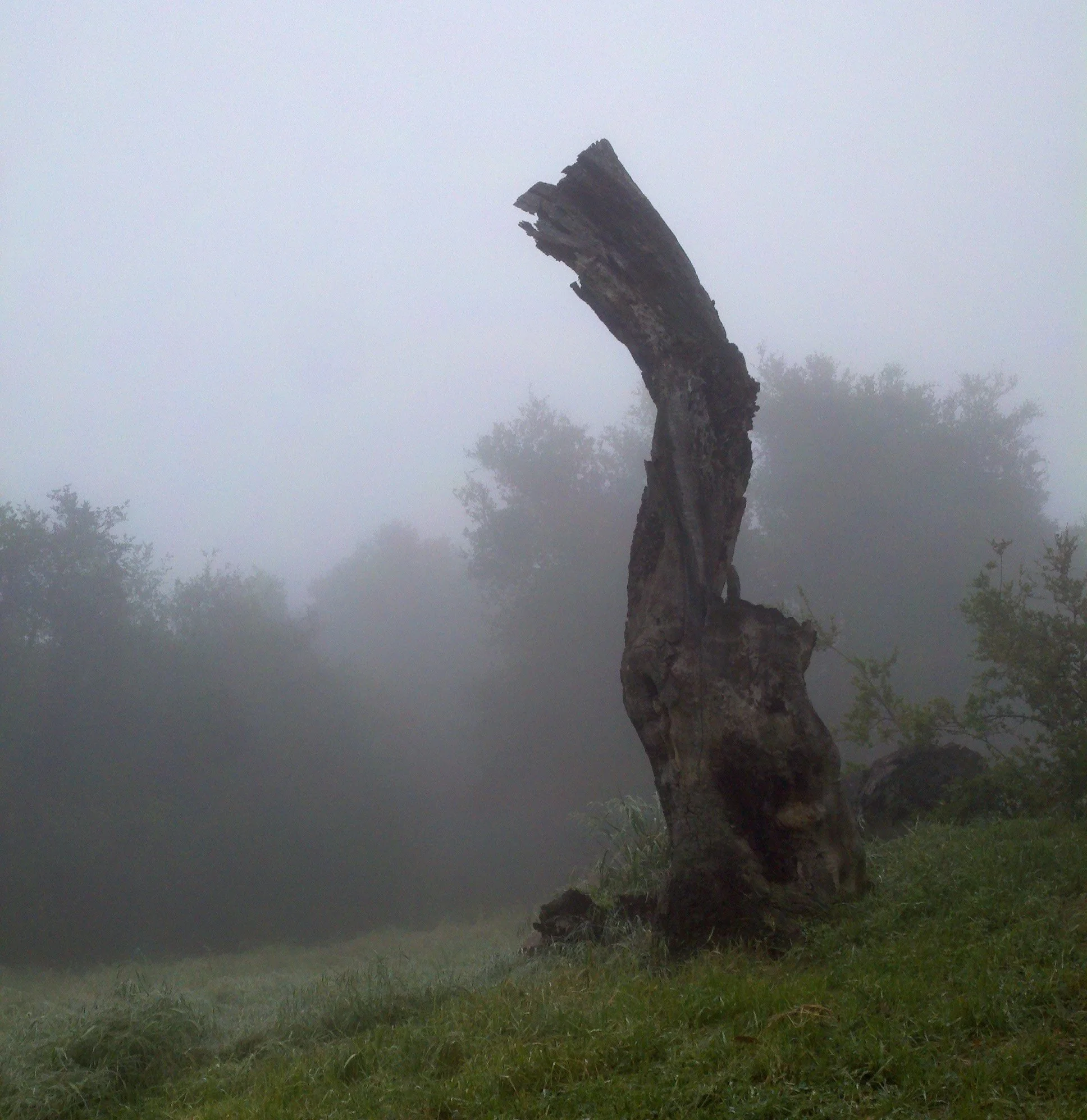 "Sometimes that is the only solace for loss."