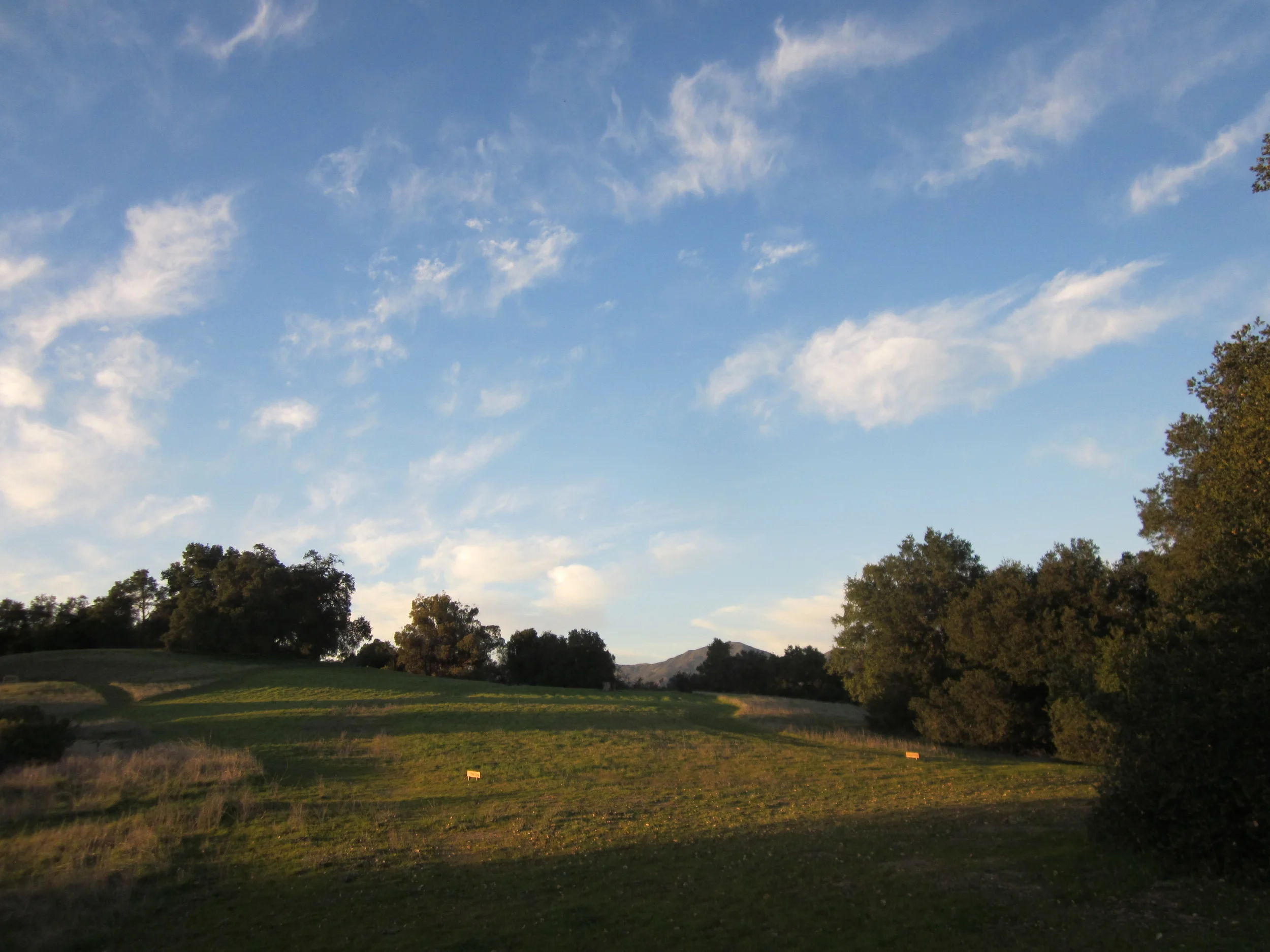THE MEADOW between the Visitor Center and Baba's Tree. (Wayne Myers photo, 2013.)