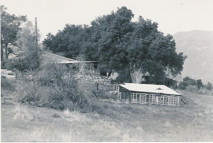 A DISTANT VIEW of the farmhouse and workshop with the greenhouse in the foreground. (Archive photo, possibly 1950s.)
