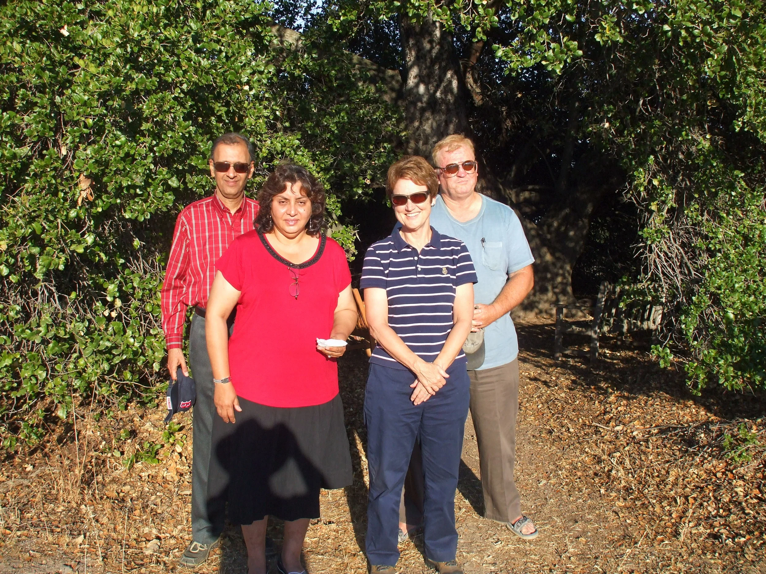 JIMMY KHAN (left, back) visits Meher Mount with his wife Firuza (left, front) in 2007. With them are Marko Swearingen and Margaret Magnus next to Baba's Tree. (Sam Ervin photo.)
