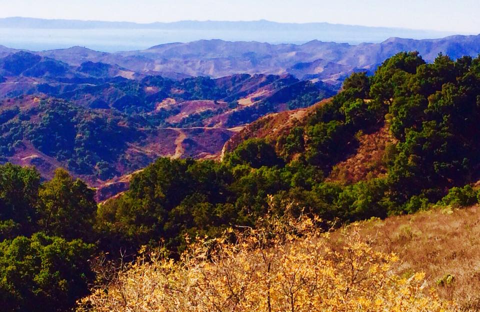 THANKSGIVING DAY 2014 view from Avatar's Point at Meher Mount overlooking the Pacific Ocean. (Photo: Buzz Glasky.)