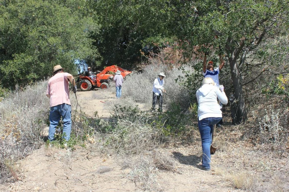 CLEARING THE WELL ROAD: Buzz Glasky (tractor), Barry Nachshon, Margaret Magnus, Brian Drygas, Naresh Sharma and Katherine Armstrong. (Photo: Jess Maron, 2015)