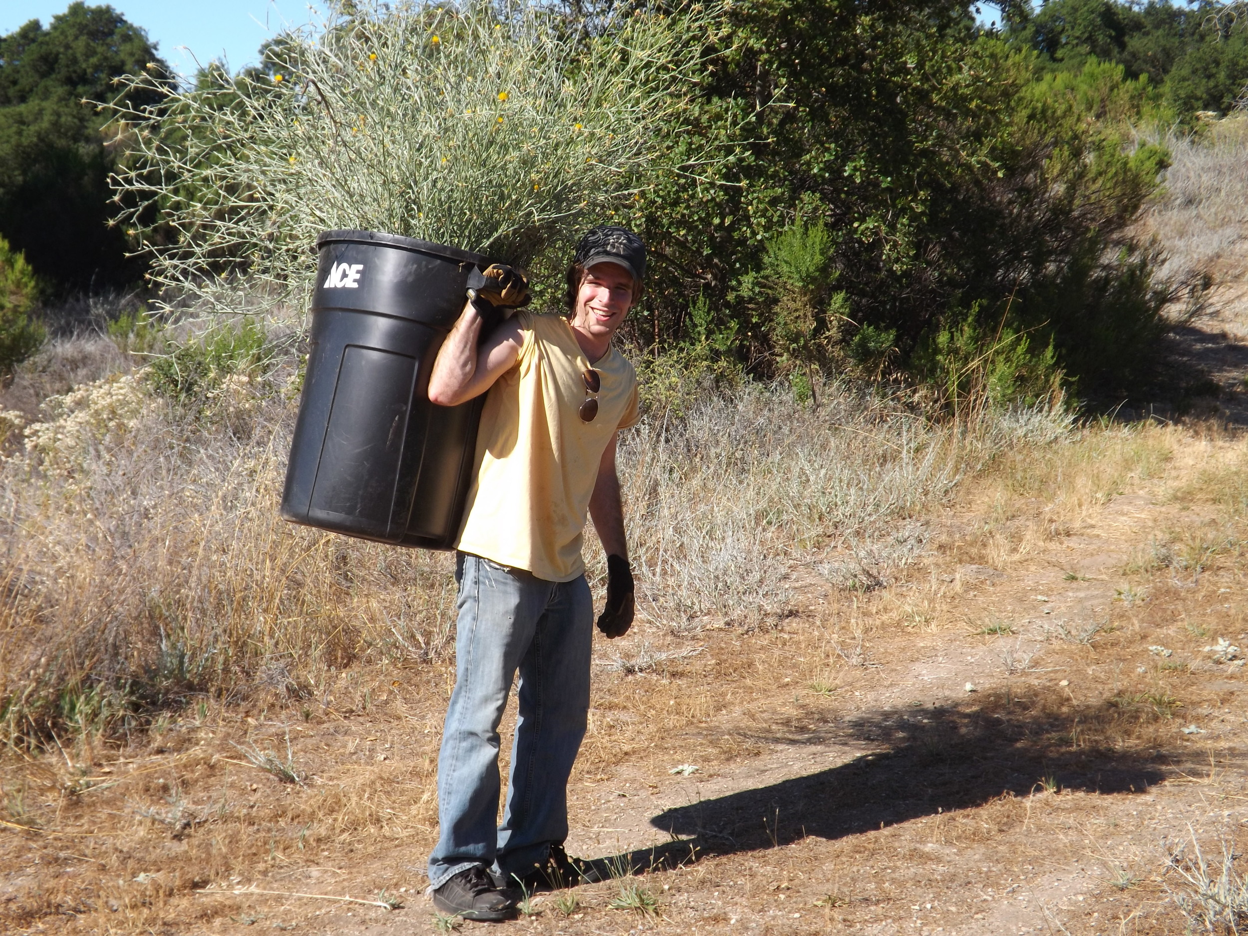 IAN DIBBLE taking a just-emptied trash can back down the hill for more weed pulling of the invasive Yellow Starthistle. (Photo: Leslie Bridger, 2012)