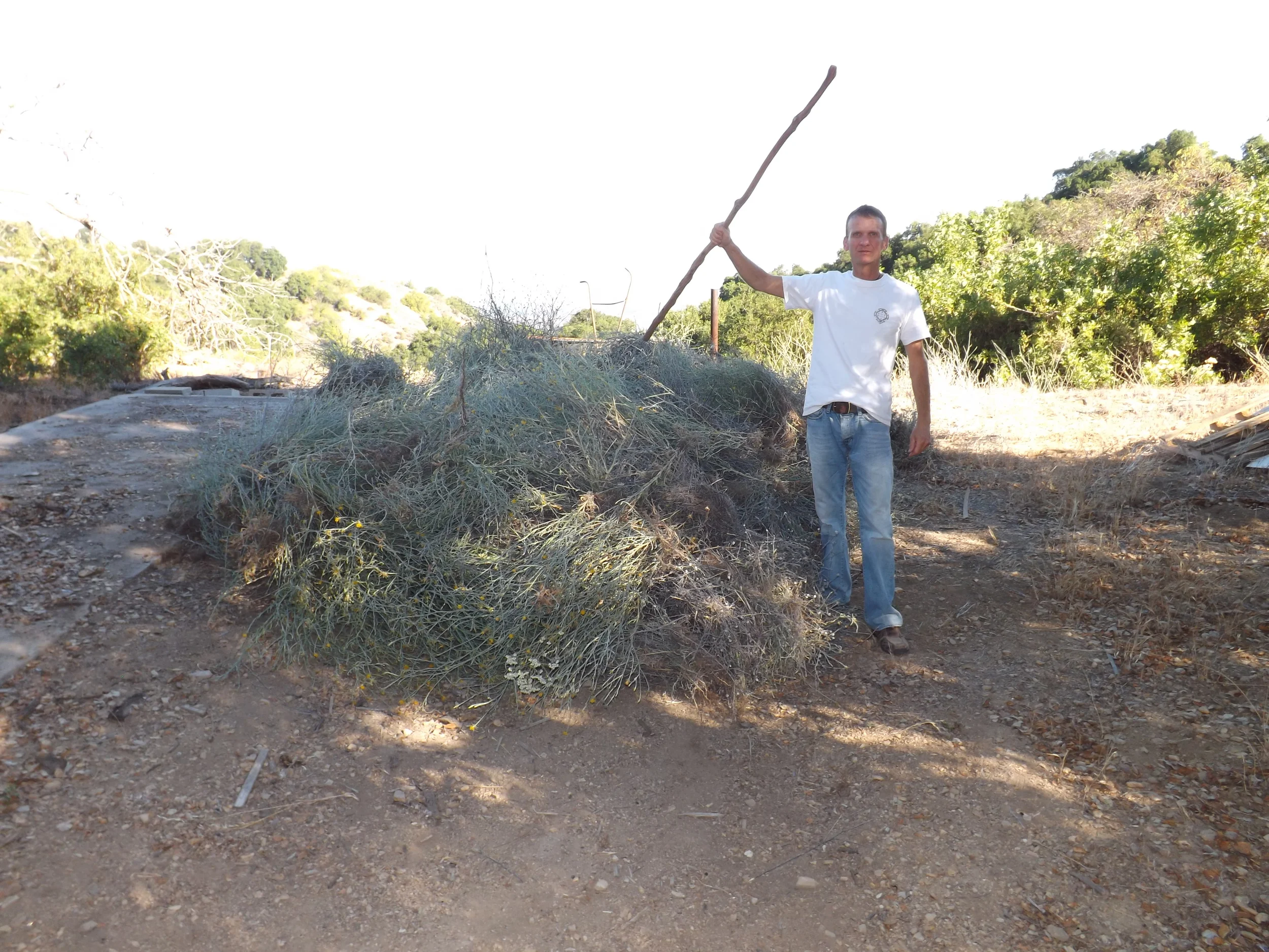 MANAGER/CARETAKER Leslie Bridger feeling a sense of accomplishment for the day's work in removing Yellow Stathistle. (Photo: Samantha Bridger, 2012)