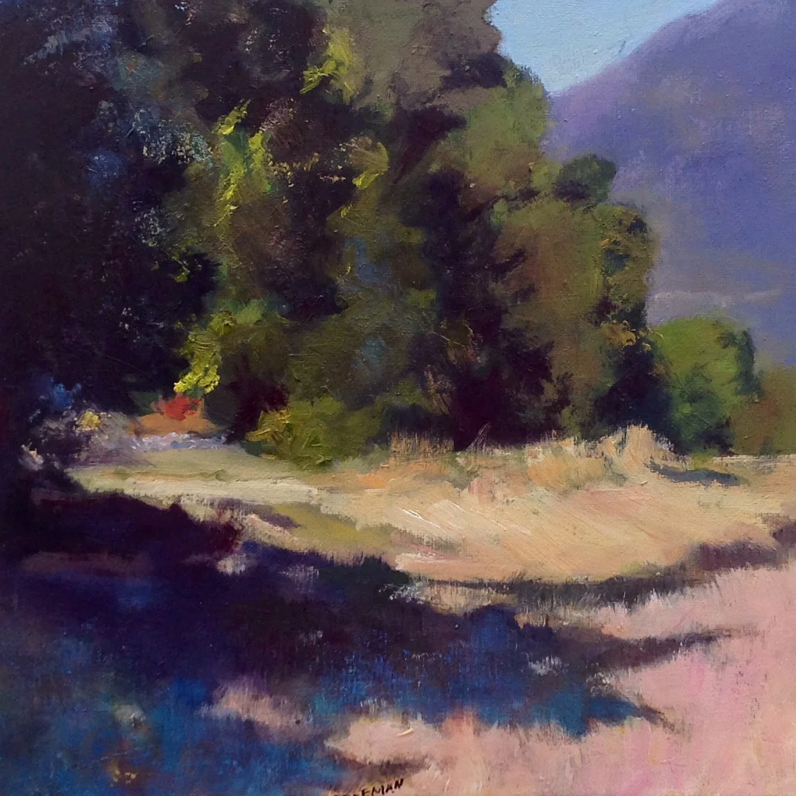 A SPOT AT MEHER MOUNT is the subject of this painting by Nancy Freeman, 2015.