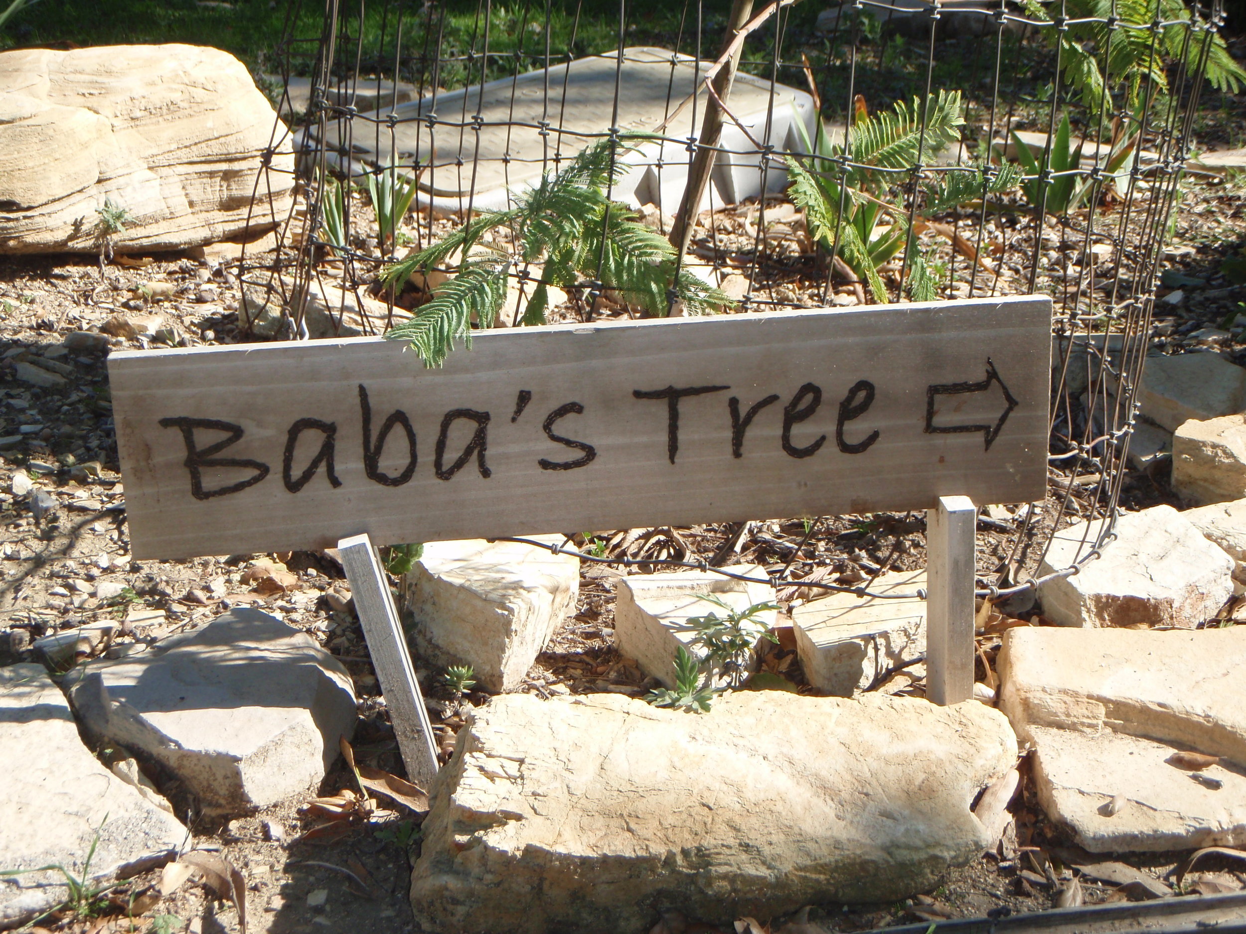 BABA'S TREE directional sign along with a number of other signs were created by former Manager/Caretaker Leslie Bridger to help guide visitors. (Photo: Margaret Magnus, 2015)
