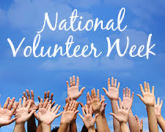YOU ARE INVITED TO SUPPORT MEHER MOUNT with your volunteer efforts.