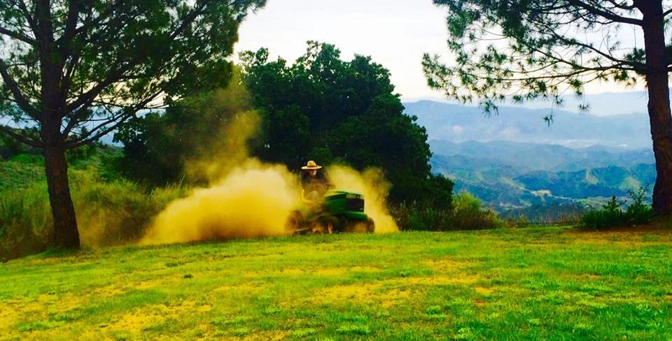 MORE THAN 10 YEARS after the ride-on mower was purchased in 2003, Manager/Caretaker Buzz Glasky is using it to mow around Baba's Tree at Avatar's Point. (Photo: Ginger Glasky, 2015)