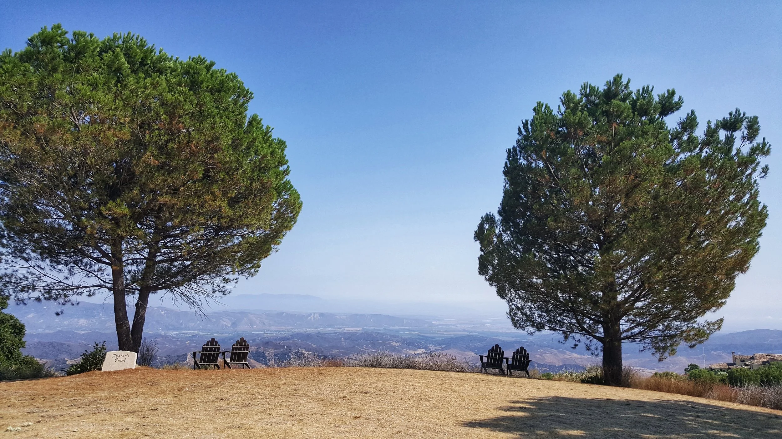 TWO OF THE PINE TREES at Avatar's Point in 2017 before the Thomas Fire on December 4, 2017. The pine trees are still standing. The Avatar's Point sign is blackened. The two chairs on the left are completely gone, and the two chairs on the right are charred and burned. (Photo: Stephanie Ervin) 