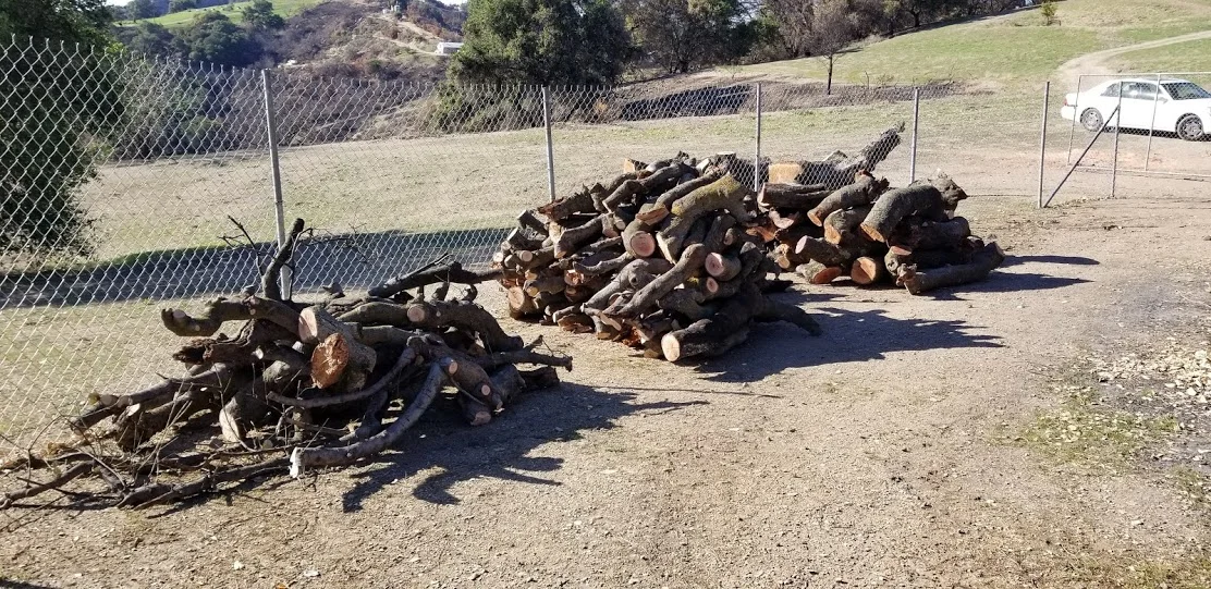 WOOD HARVESTED from Baba's Tree early in February 2018. Volunteers are needed to move (with the help of a tractor) and store this wood at another spot on the property. (Photo: Margaret Magnus, February 7, 2018)