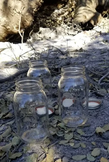 EMPTY JARS waiting for ash from Baba's Tree at Meher Mount. (Photo: Margaret Magnus)