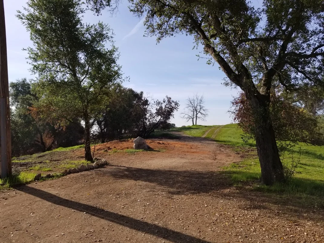MEHER MOUNT after the eucalyptus stump left by SCE had been ground out. (Photo: Margaret Magnus, April 3, 2018) 