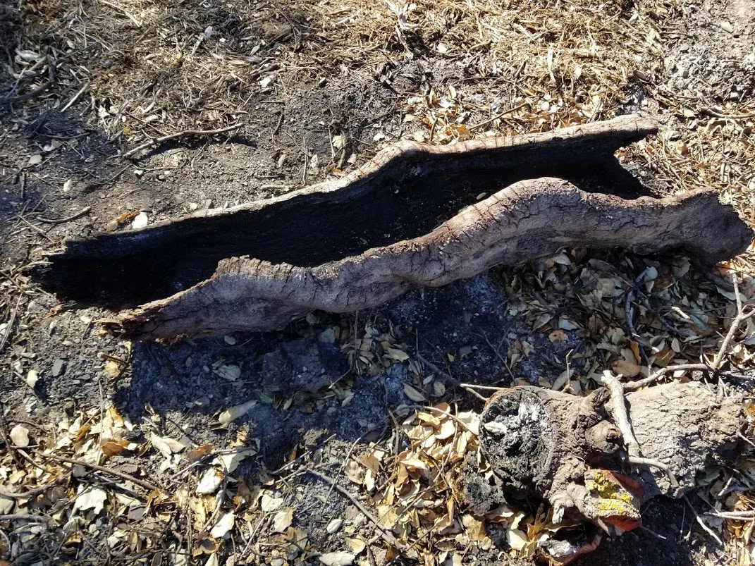 BURNED BRANCHES were cut into pieces to form the legs of the three outdoor benches. These legs were set on teak to help protect them from ground moisture. (Photo: Margaret Magnus, April 20, 2018)