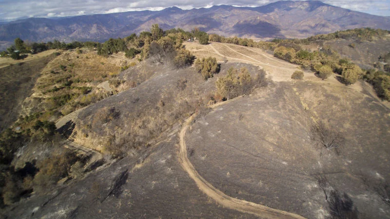 AN AERIAL VIEW of some of the damage at Meher Mount from the December 2017 Thomas Fire. The road/trail goes from Avatar's Point - where Baba's Tree is located - to the Prasad Orchard. (Drone Photo: Russell Latimer, January 4, 2018)