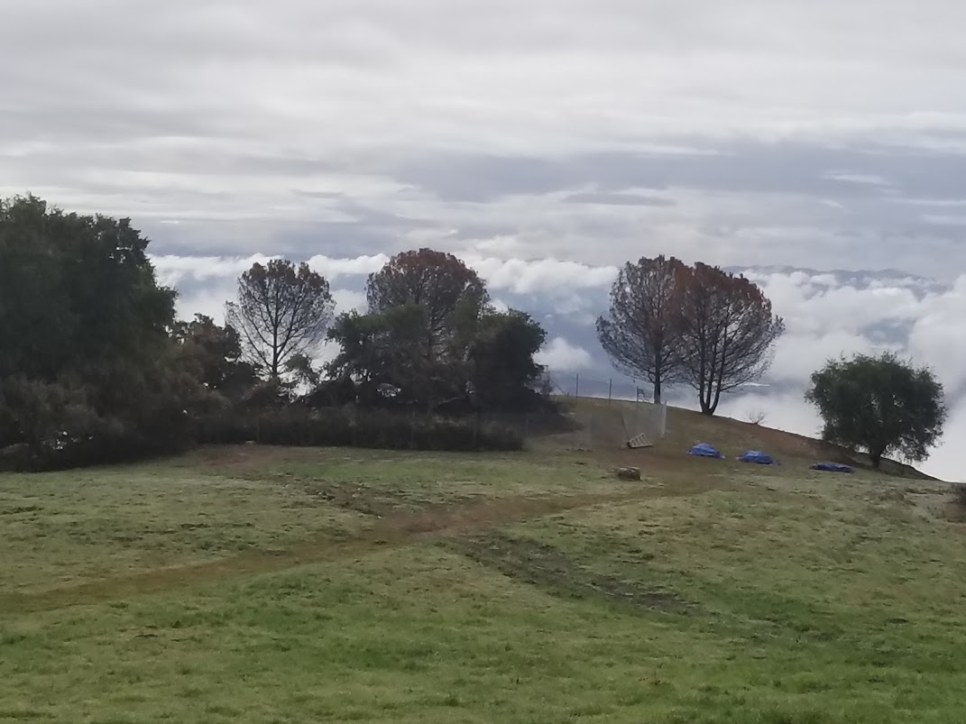 AT DAY'S END on Sunday, March 11, 2018, after a weekend of fire recovery and restoration at Meher Mount. The three blue lumps are the three benches made from fallen wood of Baba's Treet. Baba's Tree is in seclusion. The rains have helped life return to the burned landscape. (Photo: Margaret Magnus, March 11, 2018)