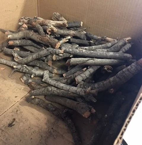 DHUNI STICKS already harvested from Baba's Tree which will be shared with other Meher Baba centers and groups. (Photo: Jennifer Navarro-Marroquin, November 2018)