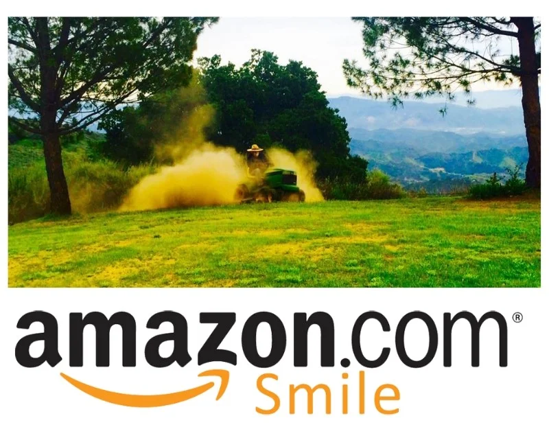 Amazon-smile - Buzz.jpg