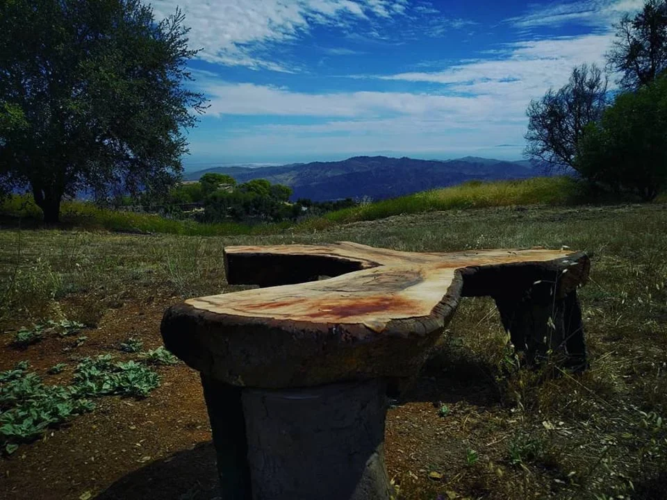 ONE OF THE THREE BENCHES at Meher Mount made from the fallen wood of Baba’s Tree by artisan Harold Greene. (Photo: Jess Maron, July 2018)