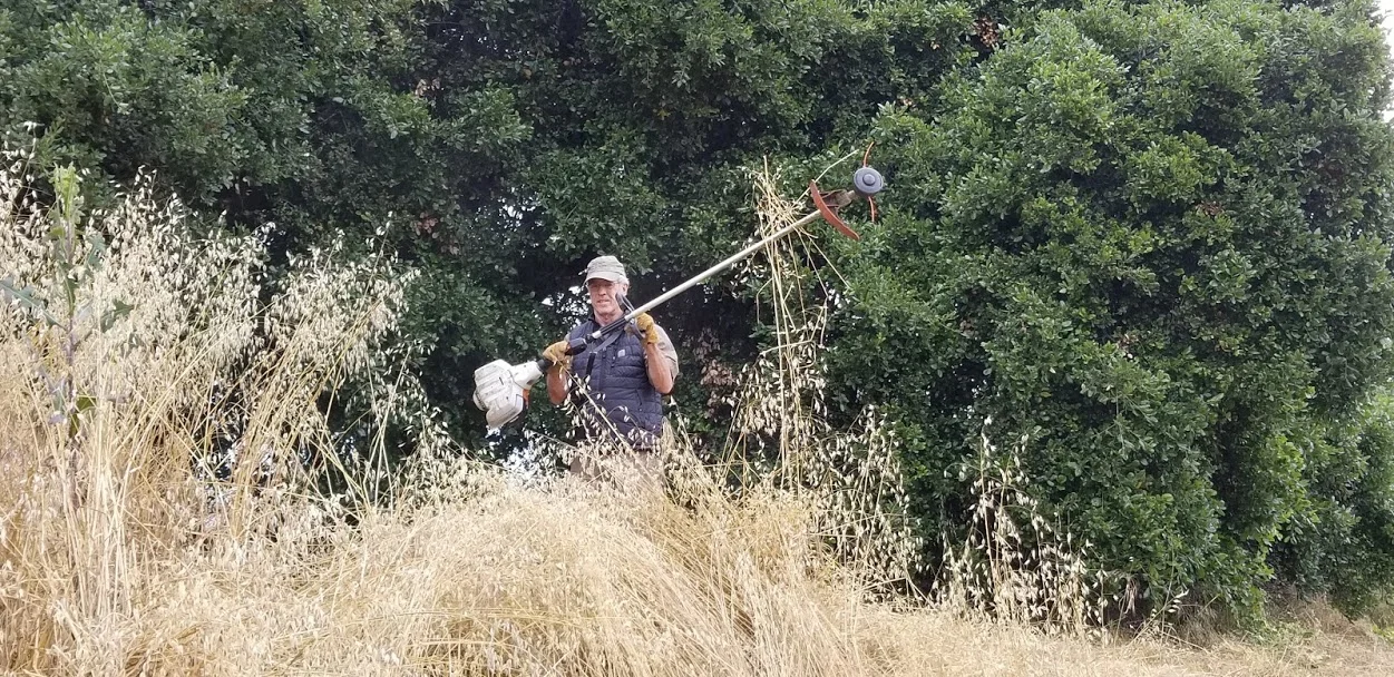 CUTTING DOWN THE WEEDS by the Workshop and Topa Topa Patio at Meher Mount is long-time volunteer and supporter Bing Heckman. (Photo: Margaret Magnus, May 18, 2019)