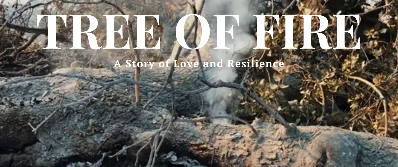 Tree of Fire - Screening in Los Angeles