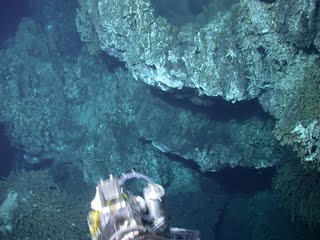 hydrothermal vent