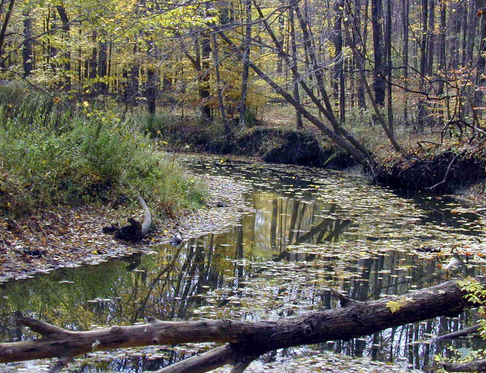 Rocky River 1 red.jpg