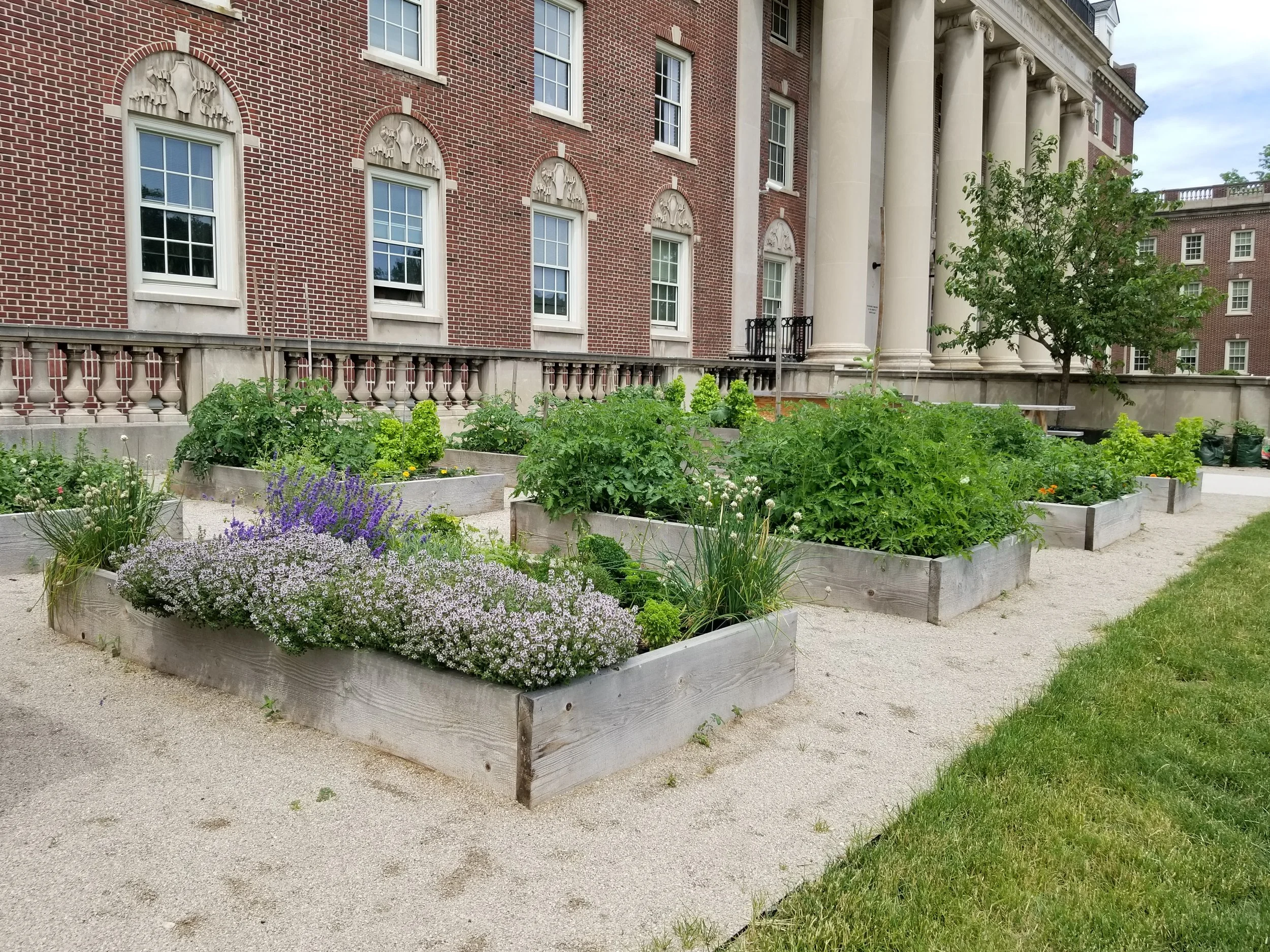 20180621_151622.jpg