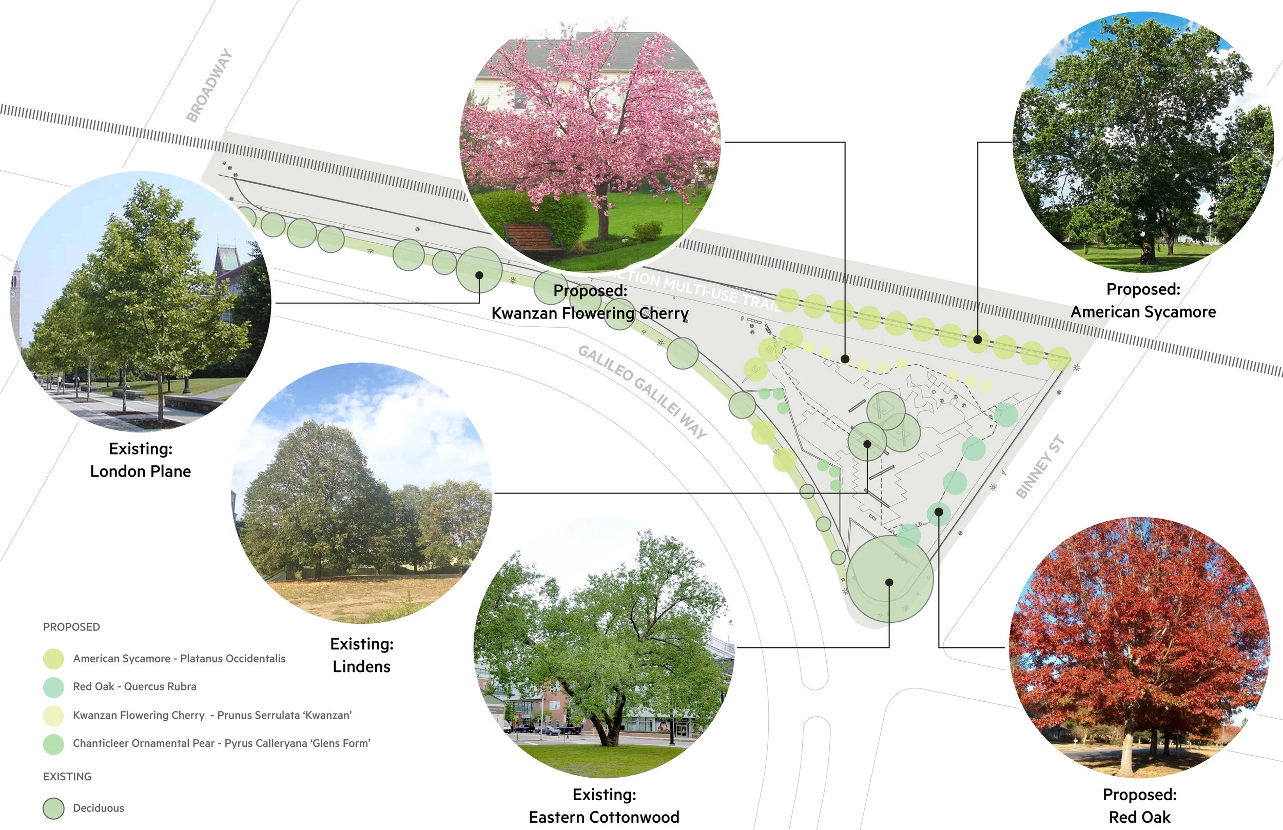 Binney_DD_Planting.jpg
