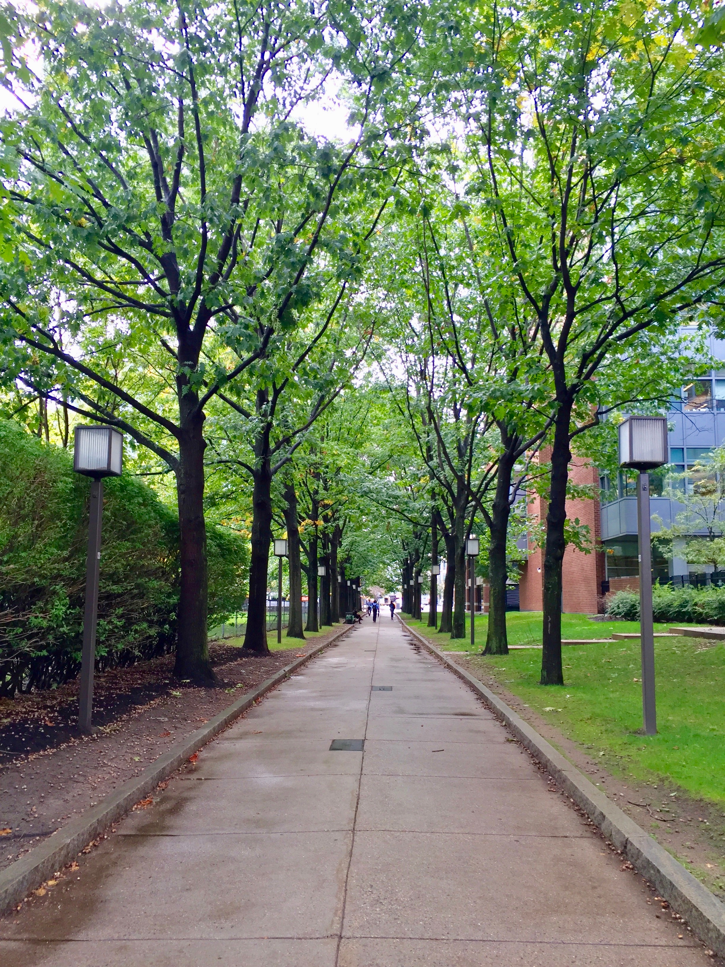 Loughrey Walkway