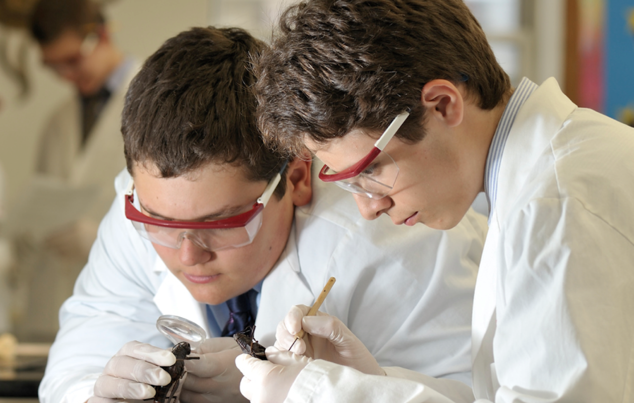 Screen Shot 2015-04-06 at 11.11.15 AM.png