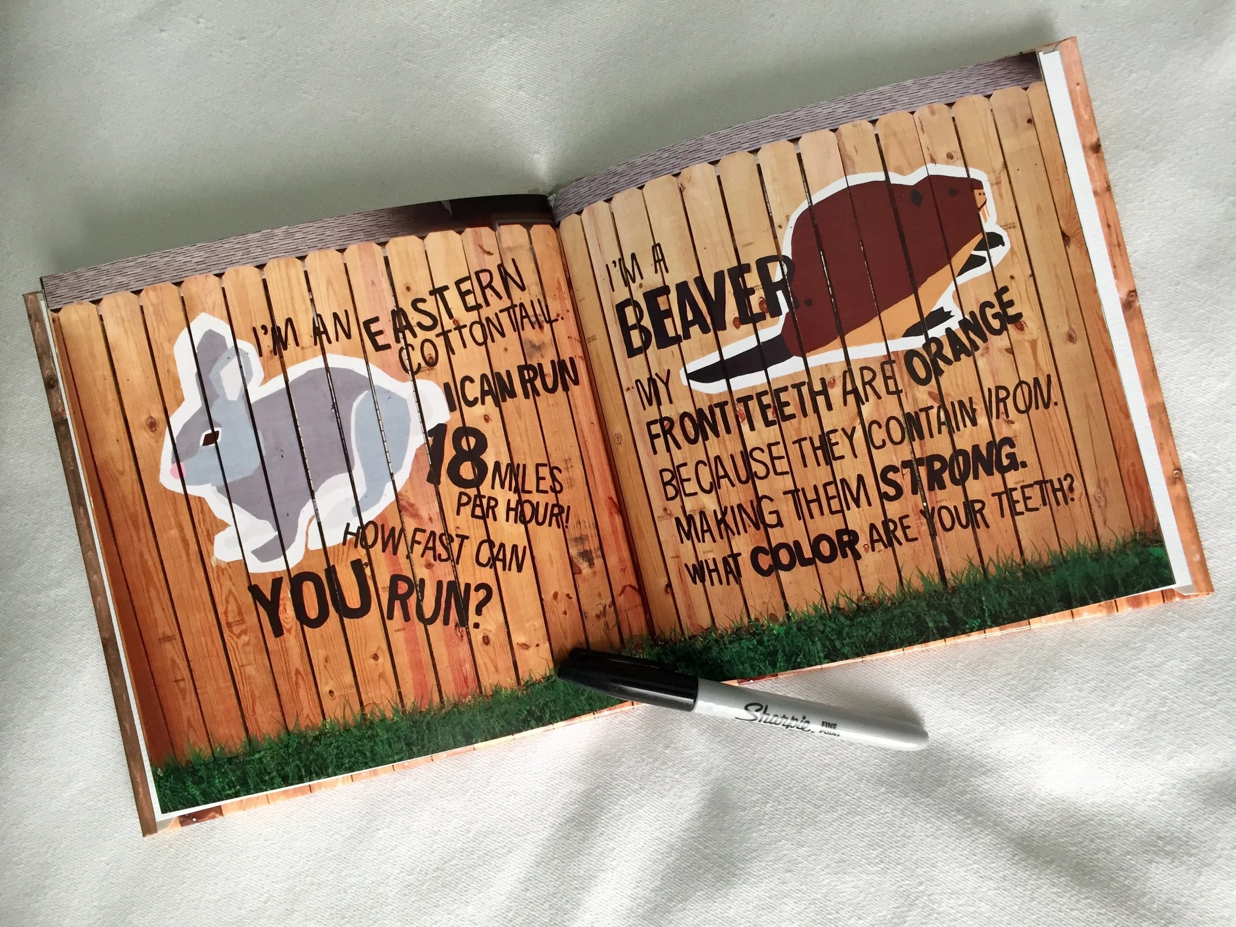 BEASTS OF HELENA MURAL CHILDREN'S BOOK