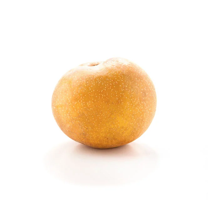 Asian Pear