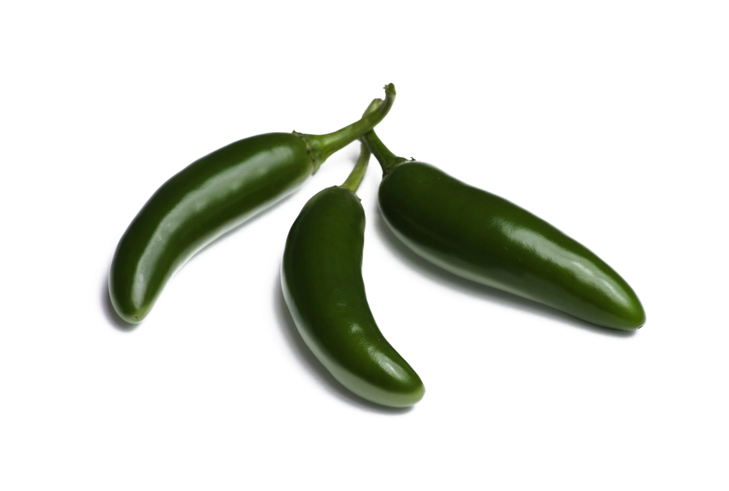 Serrano