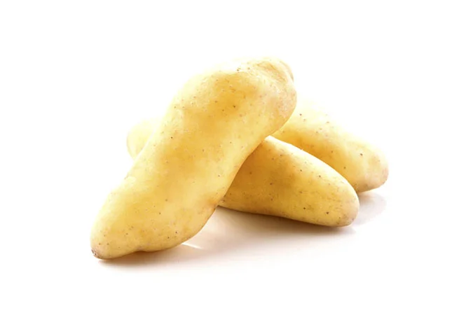 Russian Banana Fingerling