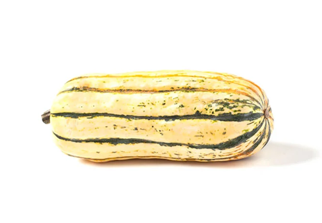 Delicata Squash