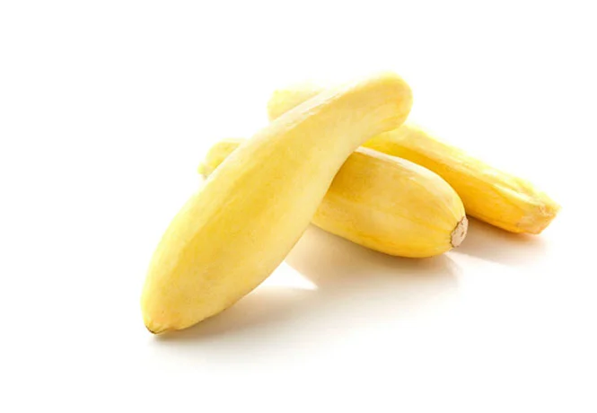 Straightneck Squash