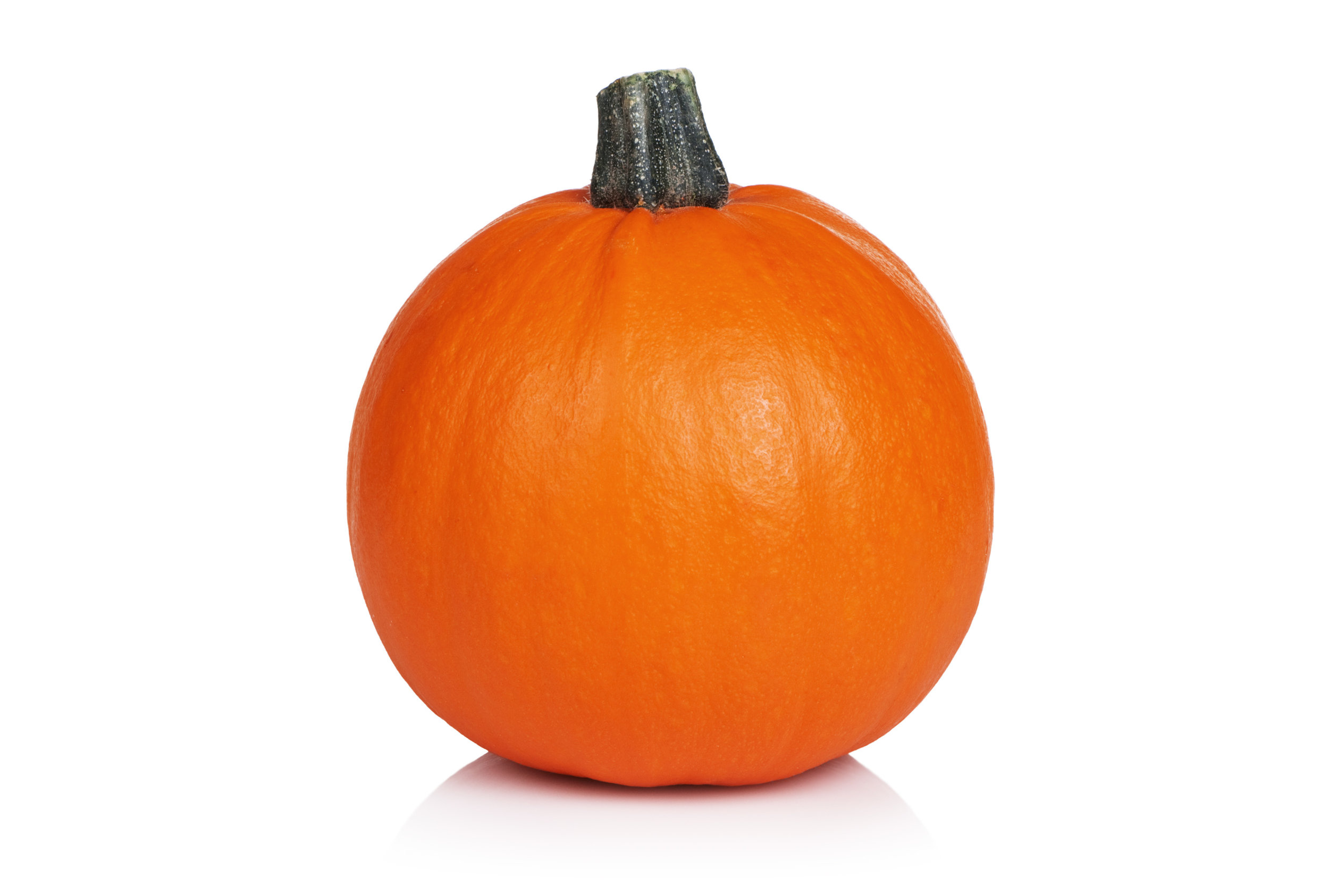 Pie Pumpkin