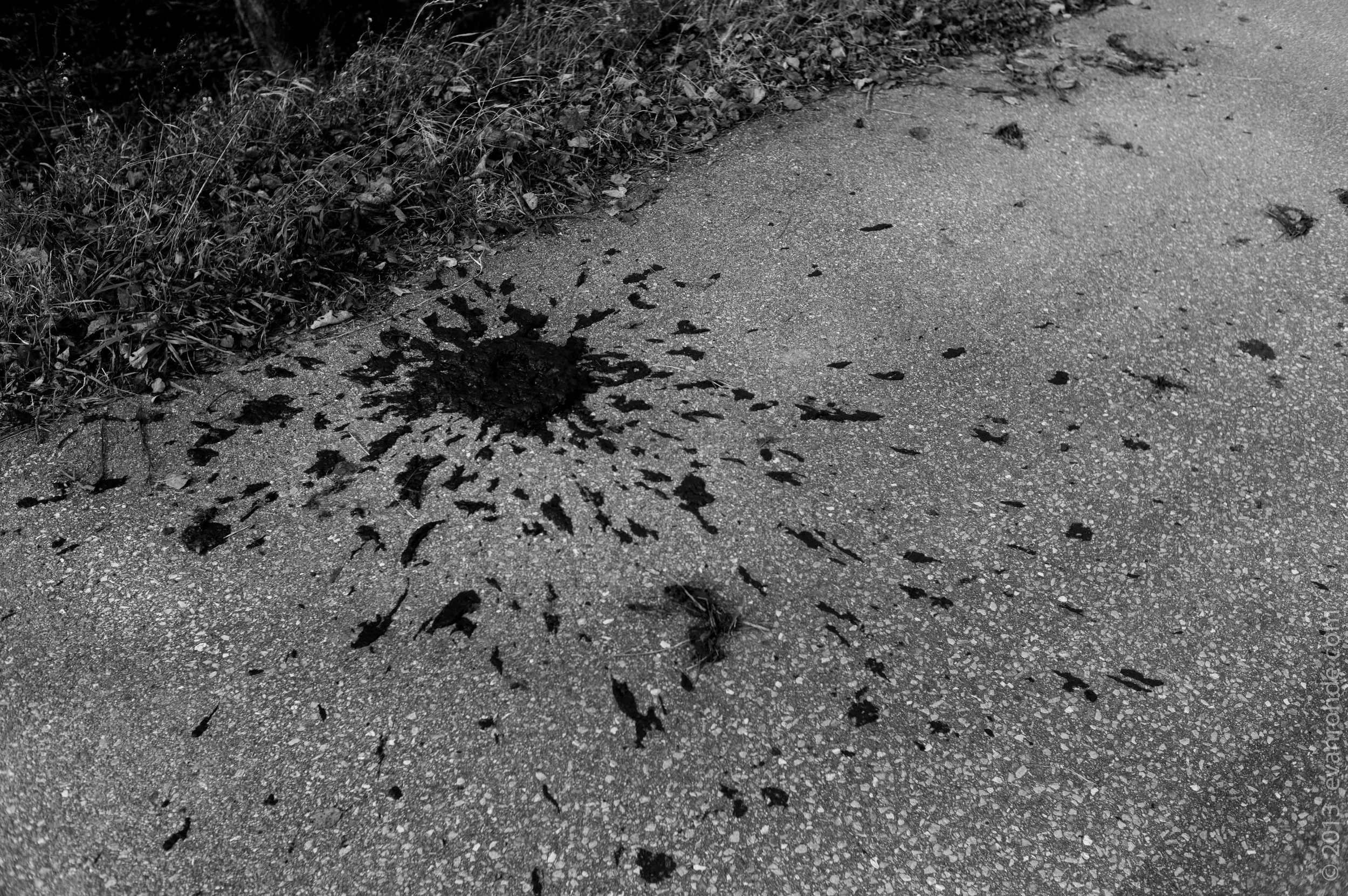 HELLOLeica Export 1-19.jpg