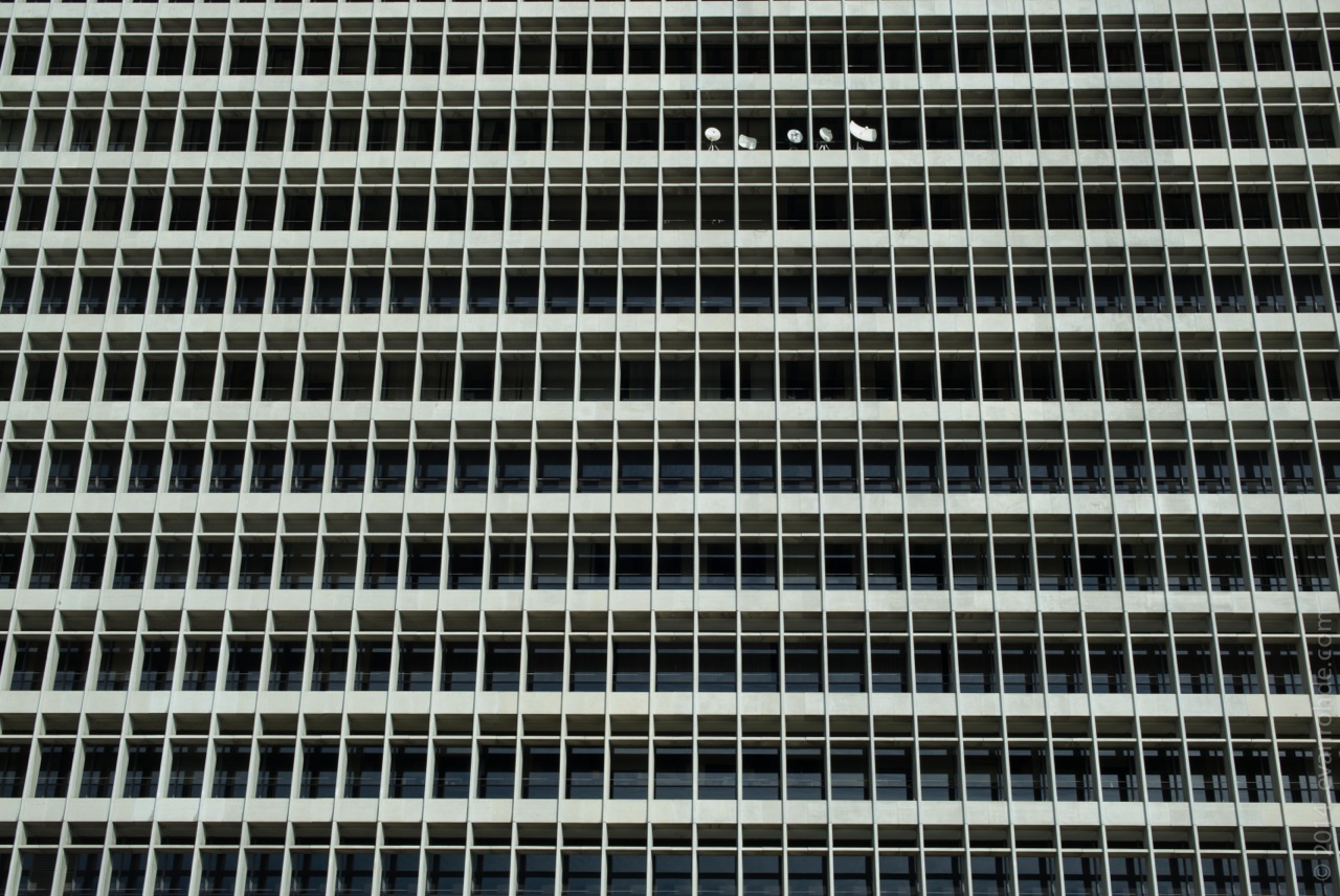 untitled-12.jpeg