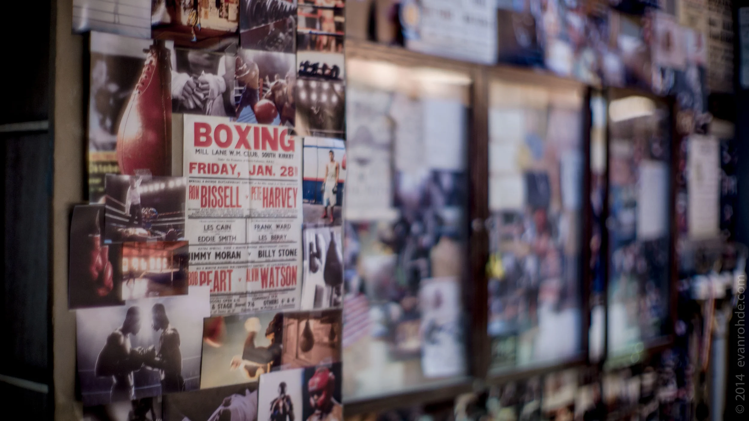 Boxing 2015-3.jpg