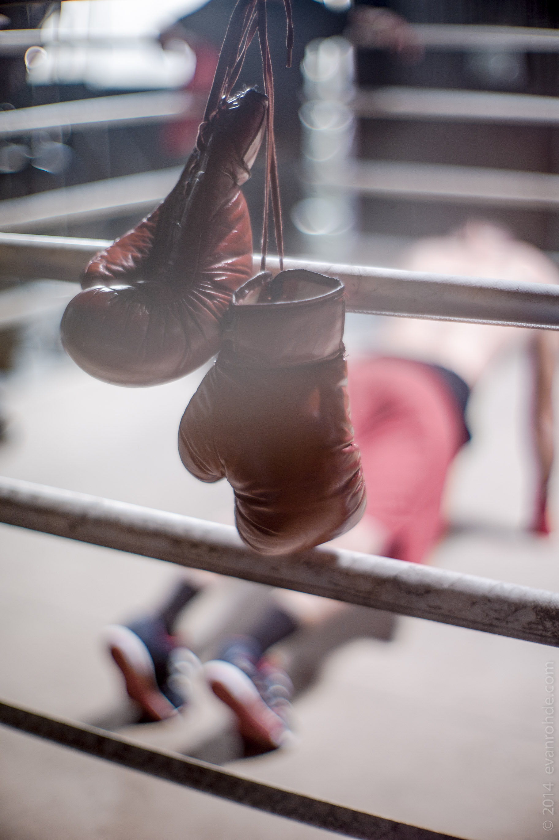 Boxing 2015-12.jpg