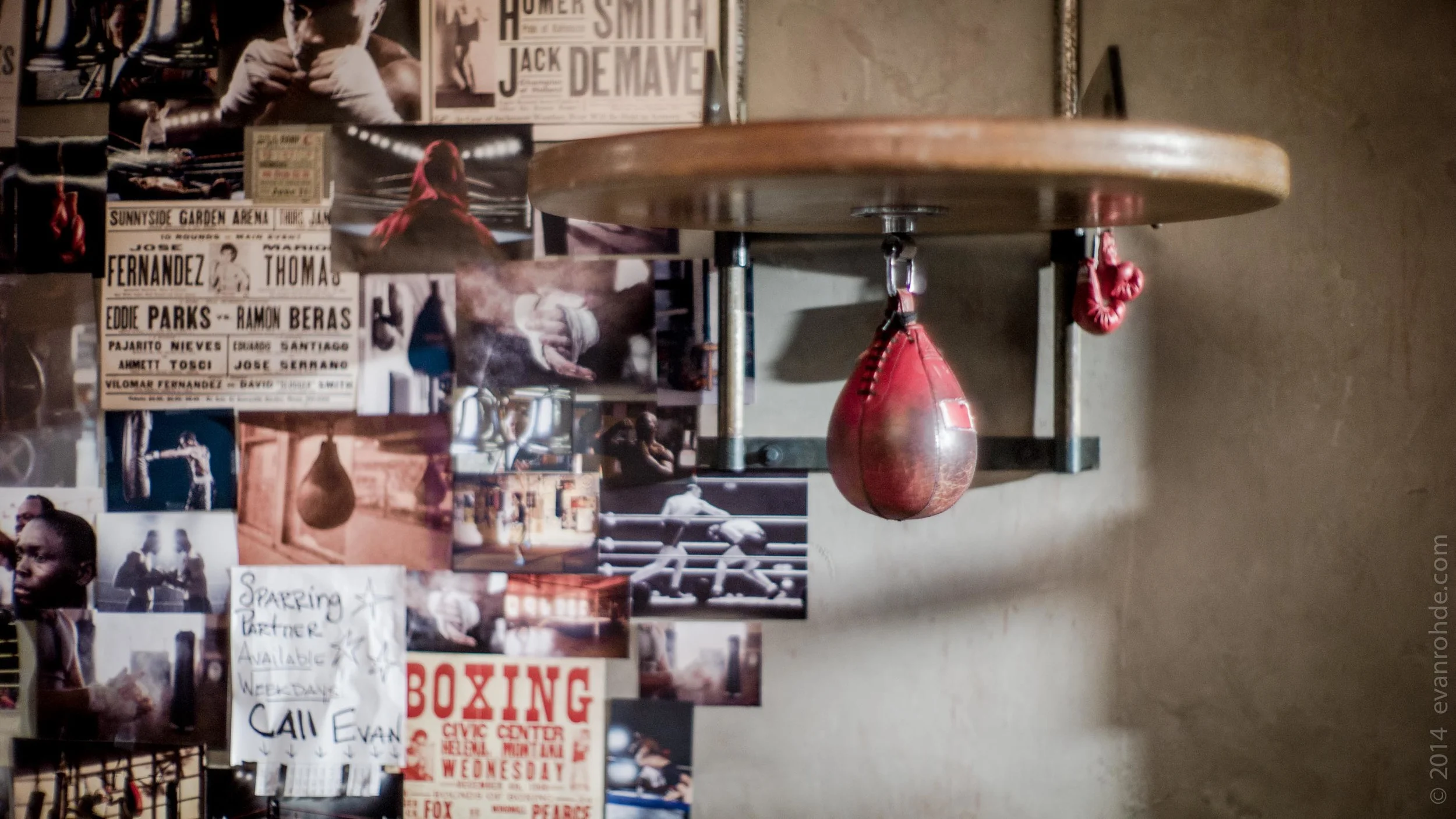 Boxing 2015-21.jpg