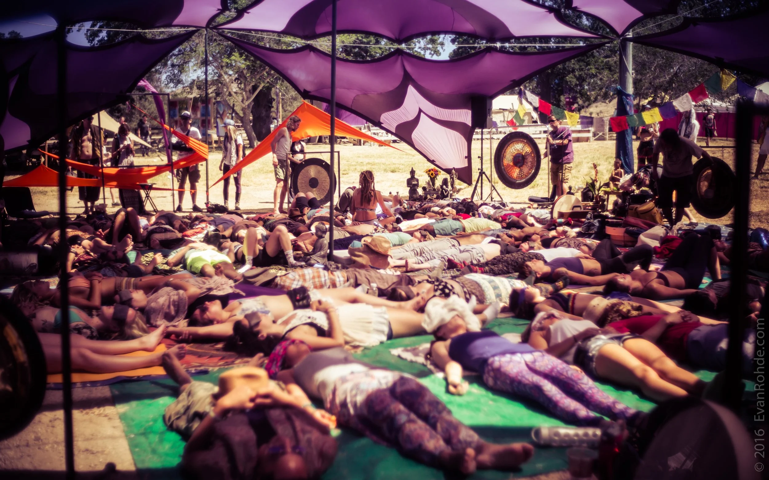 LIB 2016 ©EvanRohde.com-8.jpg