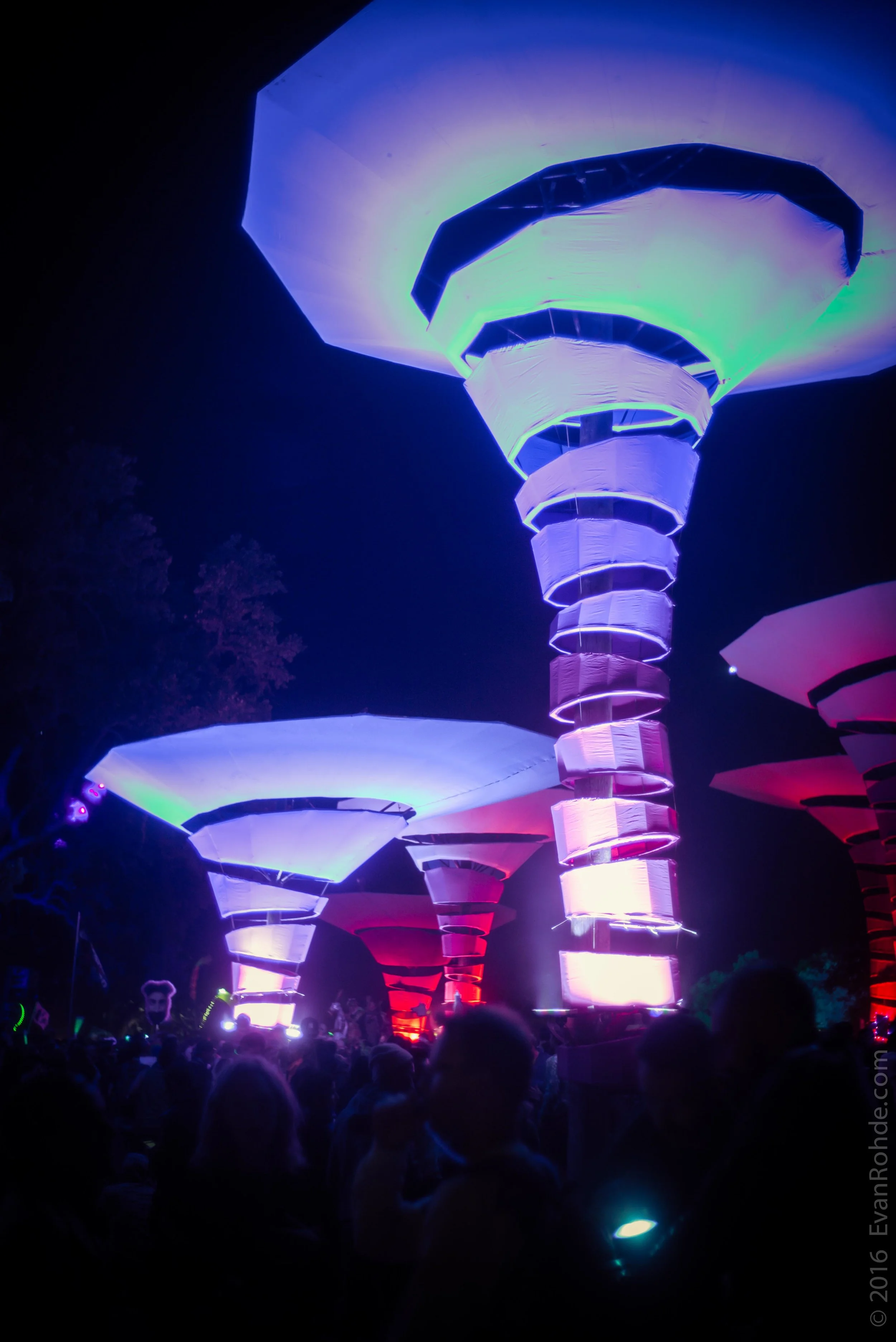 LIB 2016 ©EvanRohde.com-100.jpg