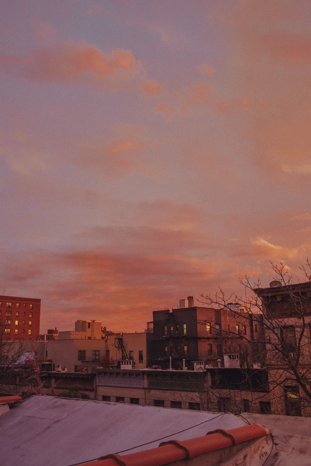 dreams-1.jpg