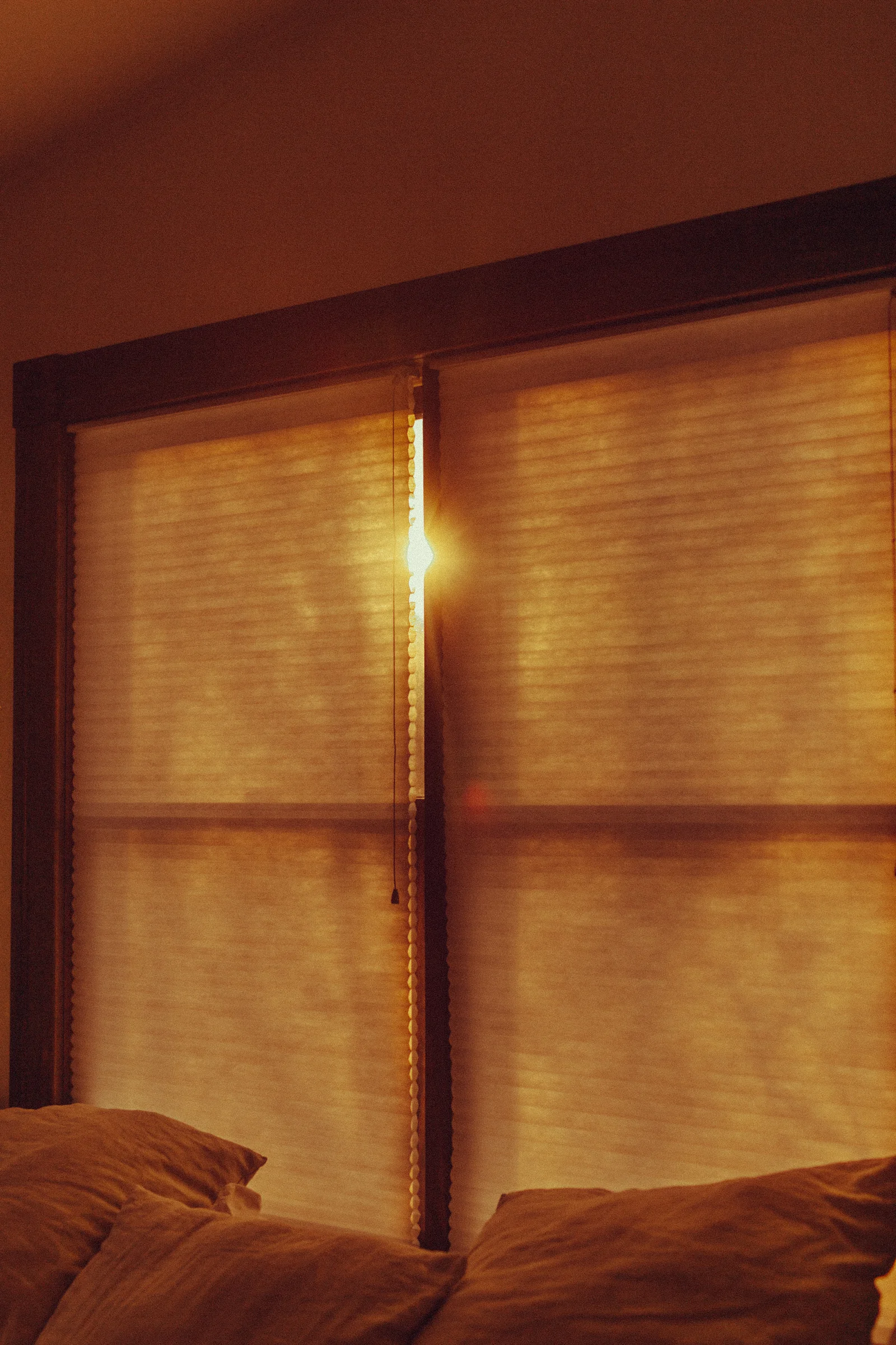 Window-1.jpg